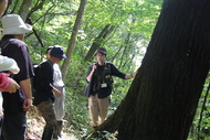 インタープリターと歩く那須平成の森ガイドウォーク